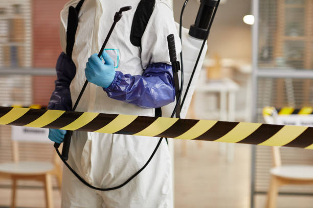 Professional Odor Removal technician working in Franklin, IN
